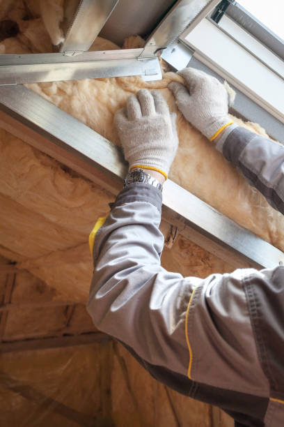 Best Commercial Insulation Services  in Mclendon Chisholm, TX